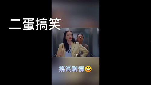 二蛋最新爆料视频,揭秘幕后真相,带你走进事件核心