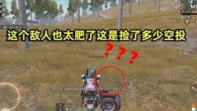 和平精英最新爆料解说,全新玩法与角色,带你领略战场新篇章
