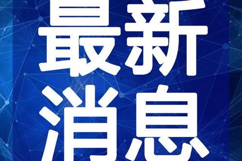 武汉胖子爆料视频大全最新,揭秘城市生活百态